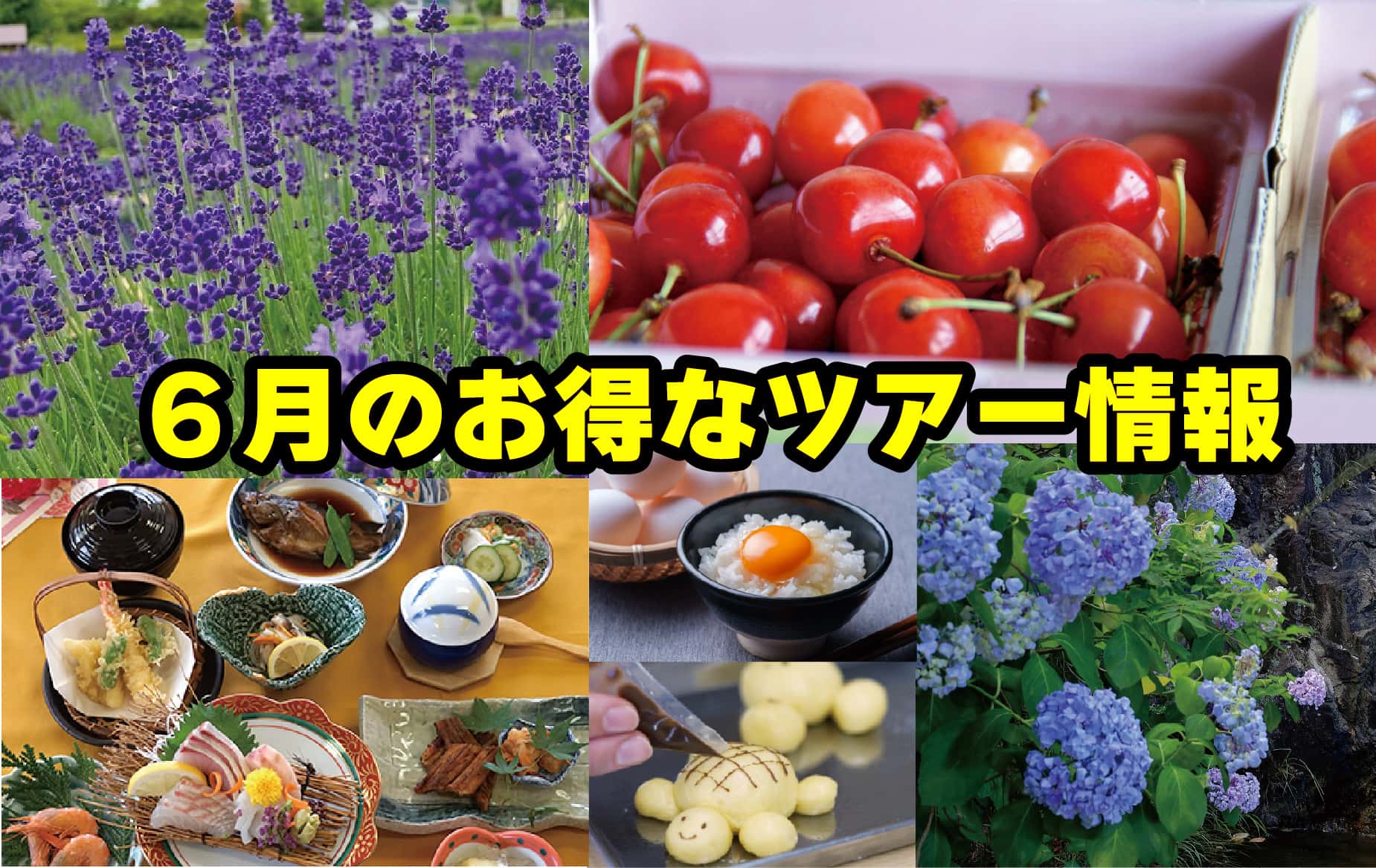 6月のお得なツアーのお知らせの画像