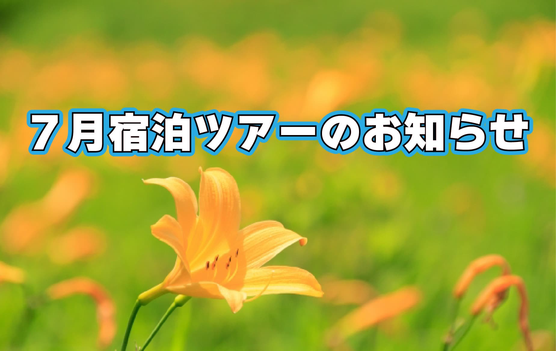 7月宿泊ツアーのお知らせの画像