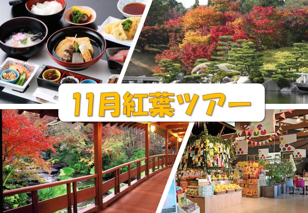 11月バス旅のお知らせの画像