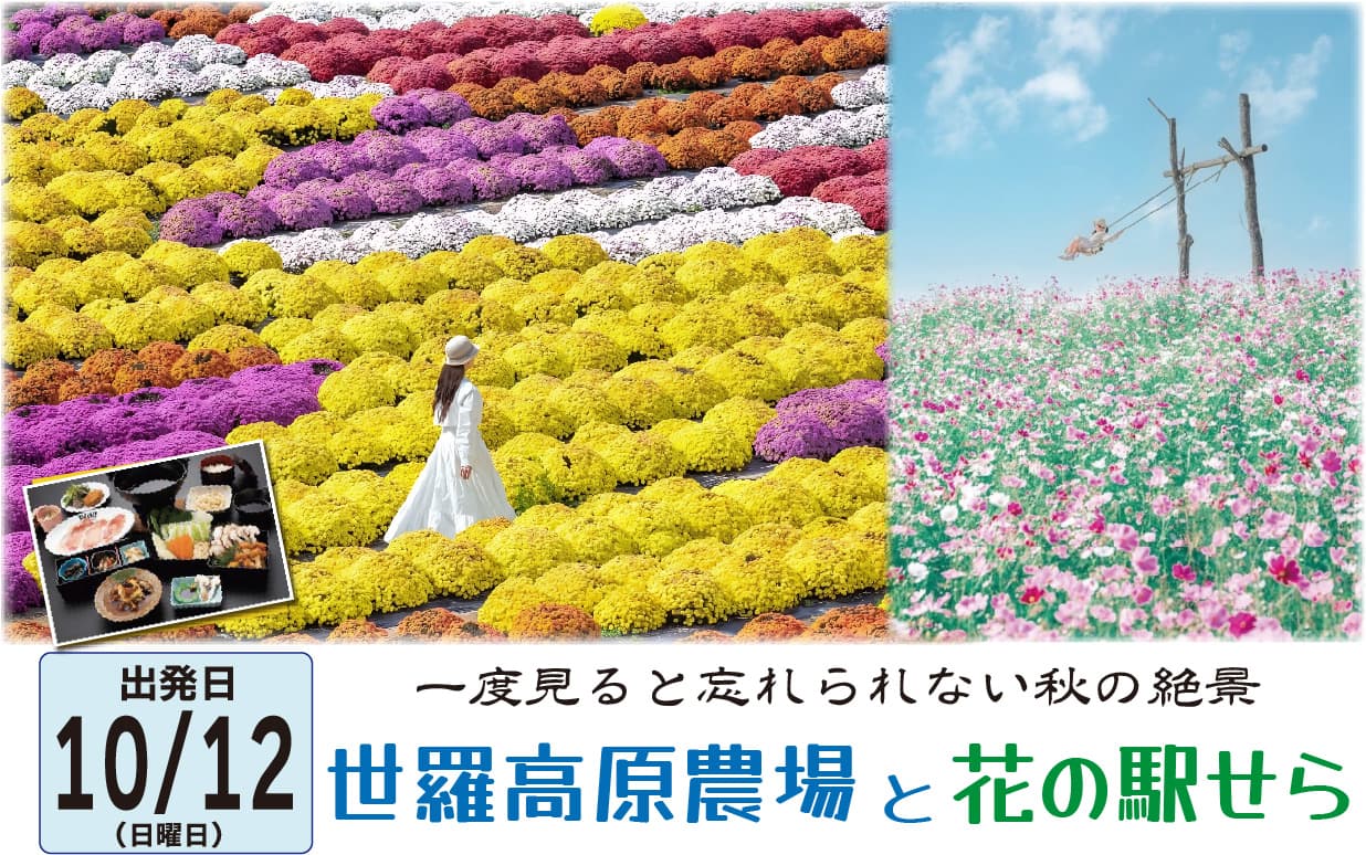 【10/12日帰り】世羅高原農場と花の駅せらの画像